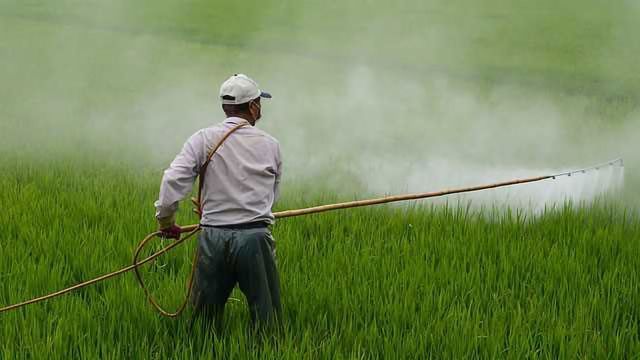 8 Top Tips For Pesticide Screening content piece image 