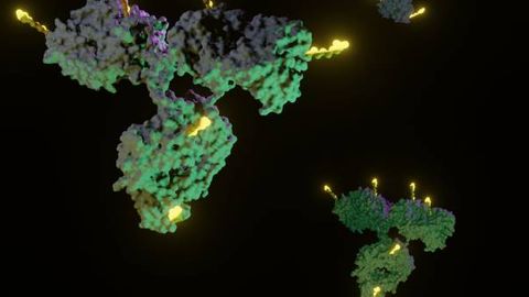 Antibody-Drug Conjugates: A Novel Paradigm for Cancer Therapy