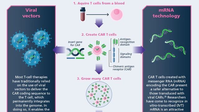 Cancer Immunotherapy content piece image 