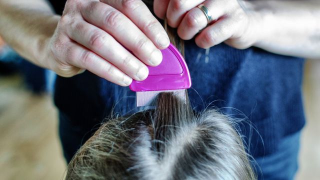 A person using a comb to remove head lice.  