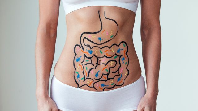 A woman with a cartoon intestine drawn on her stomach.  