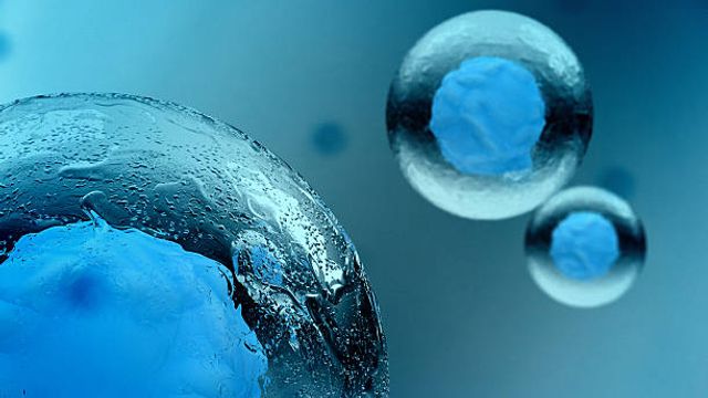 Keep it Cool: Cellular Cryopreservation for Clinical Applications content piece image 