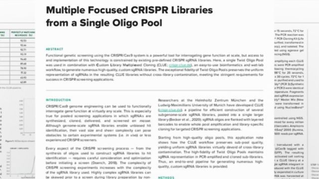 Multiple Focused CRISPR Libraries From a Single Oligo Pool content piece image 