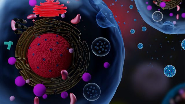 Navigating the Use of Extracellular Vesicles as Therapeutics content piece image 