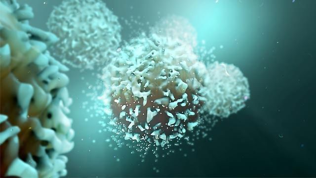 New “Weapon” Against Cancer Enters Clinical Trials content piece image 