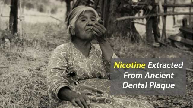 Nicotine Extracted From Ancient Dental Plaque content piece image 