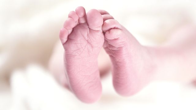 Newborn baby's feet. 