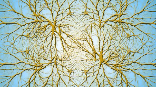 Representation of human neurons. 
