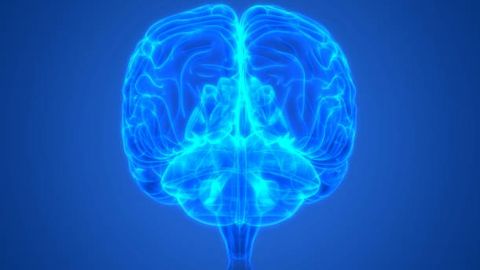 Enhancement of Sensitive Bioanalysis of Biomarkers in Cerebral Spinal Fluid