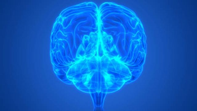 Sensitive Bioanalysis of Biomarkers in Cerebral Spinal Fluid 