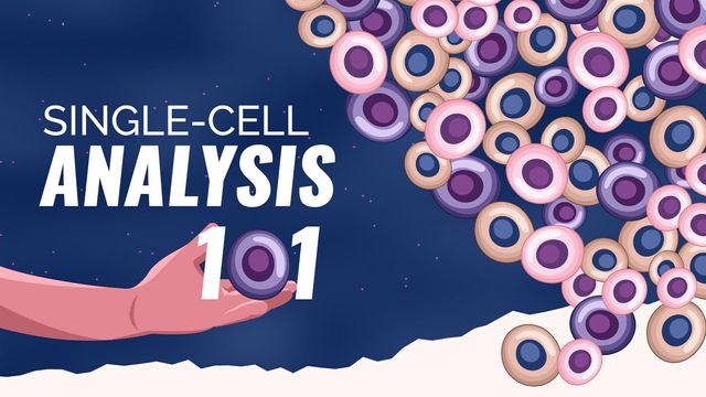 Single-Cell Analysis content piece image 