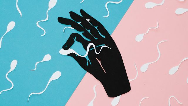 Illustration of a hand holding a sperm cell. 