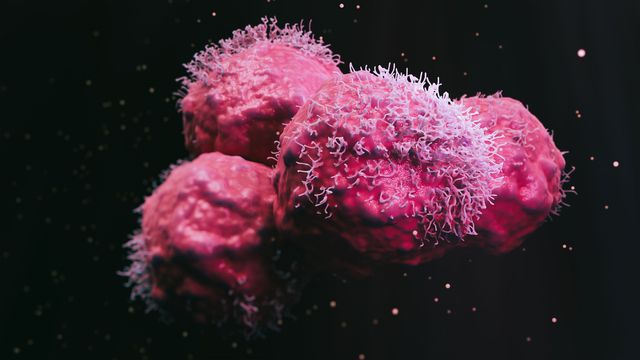 Four attached pink cancer cells. 