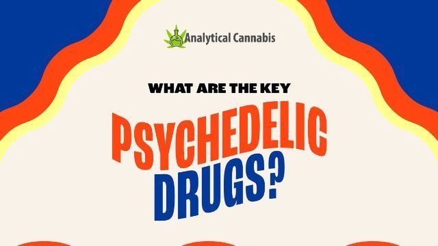What Are the Key Psychedelic Drugs? content piece image 
